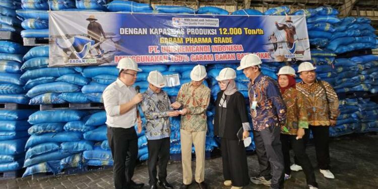 BPOM Dorong Industri Garam Lokal Tingkatkan Produksi Garam Farmasi, Antisipasi Kelangkaan Pasokan di 2025