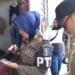 Gelar operasi yustisi, Satpol PP Surabaya dapati bayi malnutrisi