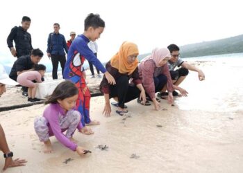 Bersama keluarga, Khofifah lepas puluhan Tukik di Pulau Tabuhan Banyuwangi