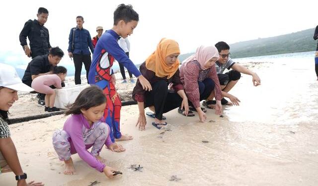 Bersama keluarga, Khofifah lepas puluhan Tukik di Pulau Tabuhan Banyuwangi