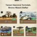 Bromo Tengger Semeru Taman Nasional terindah ketiga dunia, Khofifah: Mari kita jaga kelestarian dan keindahan alam Jatim