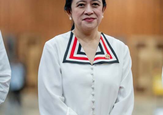 Ini penjelasan Puan terkait pertemuan Megawati dan Prabowo