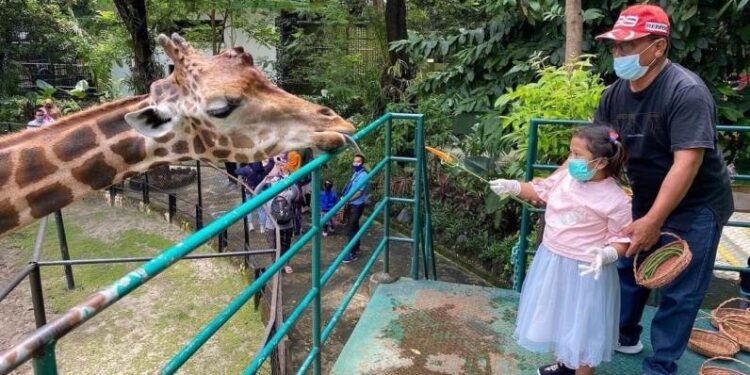 Libur Lebaran, KBS dipadati 72 an ribu wisatawan