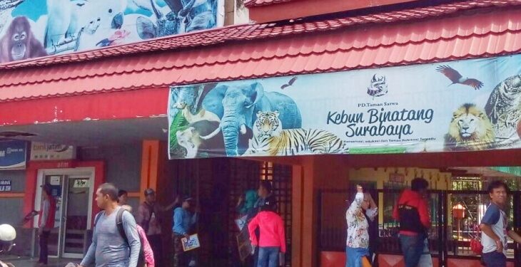 Harga tiket masuk KBS akan naik jadi Rp 25 ribu