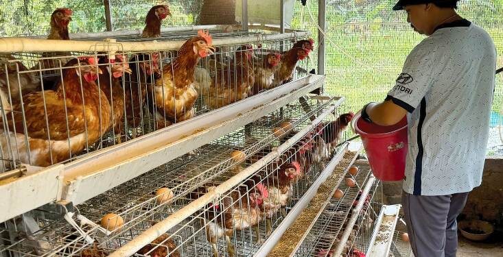 Blitar akan pasok kebutuhan telur dan sayur warga Surabaya