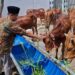 RPH Surabaya siap layani pembeli dan pemotongan hewan kurban: Ada diskon khusus