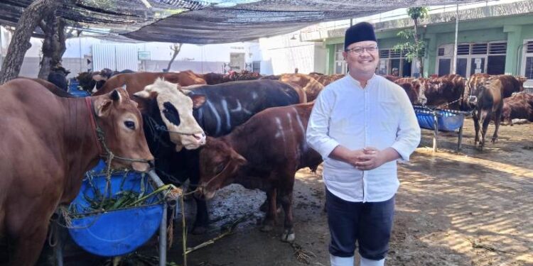 Jumlah pengguna jasa potong RPH saat Idul Adha bertambah