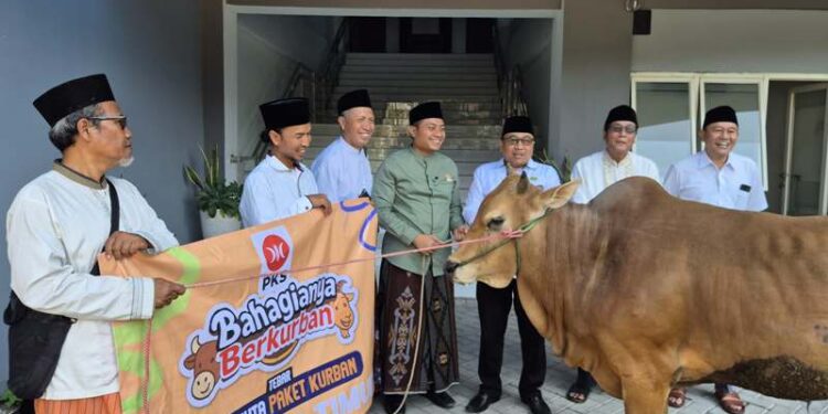PKS Jatim serahkan hewan kurban ke PWNU, PWM dan MUI Jatim