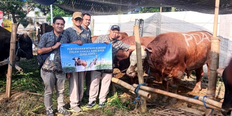 Perumda Air Minum Surya Sembada salurkan 14 sapi kurban: Peduli dan komitmen layanan untuk Kota Surabaya
