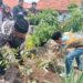 Ketua Komisi A DPRD Jatim ajak warga Sidoarjo tanam pohon untuk ciptakan lingkungan sejuk nyaman dan asri