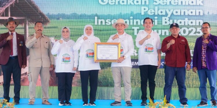Pecahkan rekor Muri, Jatim berhasil lakukan Inseminasi buatan pada 1 juta lebih ternak sapi sepanjang 2025