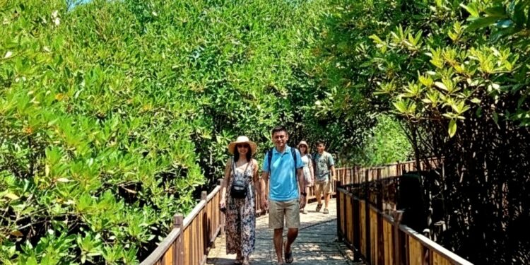 Potensi besar, kelola setengah hati: Wajah wisata mangrove Surabaya di ujung 2025