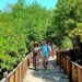 Potensi besar, kelola setengah hati: Wajah wisata mangrove Surabaya di ujung 2025