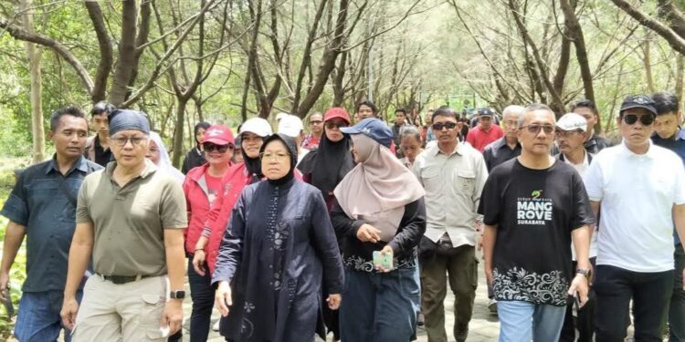 Mangrove Surabaya jadi pusat riset nasional di bawah BRIDA