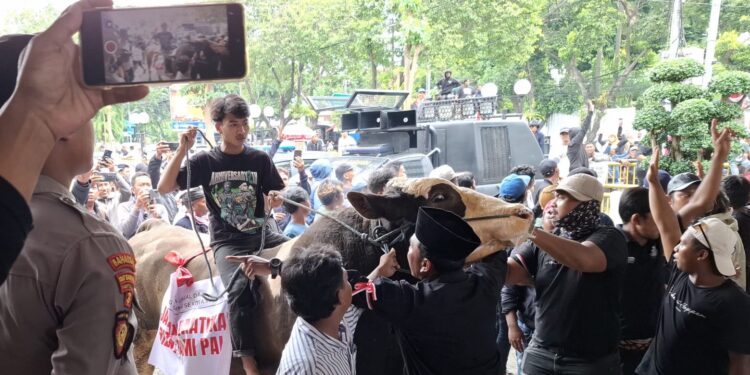 Meski ditolak jagal, Pemkot Surabaya pastikan RPH Pegirian pindah