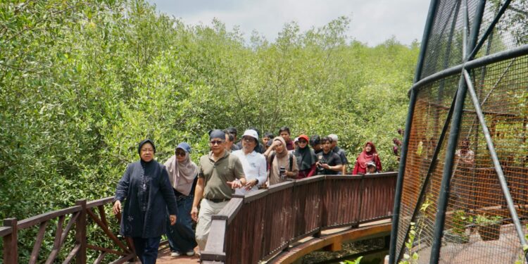Rocky–Risma ajak jaga mangrove Surabaya demi masa depan kota