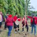 Peringati HUT Megawati ke-79, PDI Perjuangan Surabaya Aksi Merawat Pertiwi di Waduk Tirta Adhyaksa