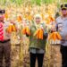 Panen jagung bersama Kapolda, Ketua Kwarda Pramuka dan HKTI di Banyuwangi, Gubernur Khofifah: Sinergi untuk Kedaulatan Pangan Jawa Timur