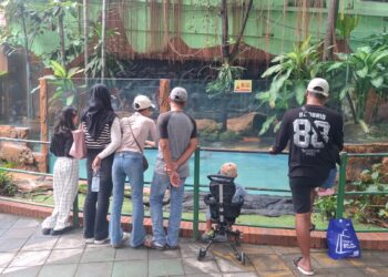 Kunjungan KBS Sepekan Libur Nyepi dan Lebaran 2026 Capai 40 Ribu, Masih di Bawah Capaian 2025