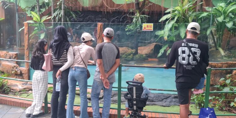 Kunjungan KBS Sepekan Libur Nyepi dan Lebaran 2026 Capai 40 Ribu, Masih di Bawah Capaian 2025