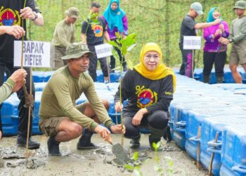 Gubernur Khofifah dan Komandan Pasmar 2 pimpin aksi bersih pantai dan tanam 1.200 mangrove di Kenjeran Park Surabaya