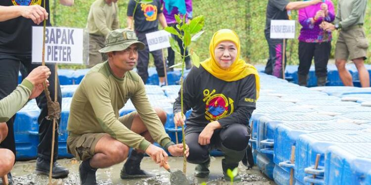 Gubernur Khofifah dan Komandan Pasmar 2 pimpin aksi bersih pantai dan tanam 1.200 mangrove di Kenjeran Park Surabaya