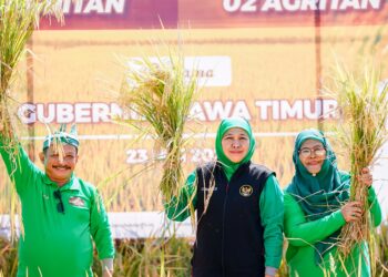 Antisipasi kemarau 2026, Gubernur Khofifah instruksikan Bupati/Wali Kota jaga produksi pertanian Jawa Timur
