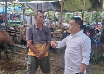Anas Karno Minta Kelurahan Proaktif Tata Lapak Hewan Kurban