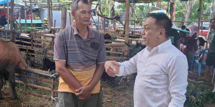 Anas Karno Minta Kelurahan Proaktif Tata Lapak Hewan Kurban