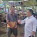 Anas Karno Minta Kelurahan Proaktif Tata Lapak Hewan Kurban