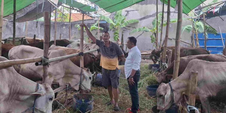 DPRD Surabaya Tekankan Tindakan Preventif Pasca Temuan Skabies Hewan Kurban