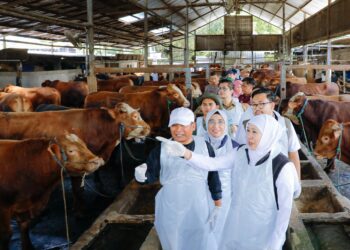 Tinjau peternakan di Nganjuk, Gubernur Khofifah tegaskan stok sapi kurban cukup, memenuhi syarat, sehat dan bebas PMK serta LSD