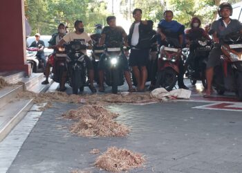 Seniman Lempar Taik Ayam ke DPRD Surabaya, Protes Polemik Pengosongan Ruang DKS