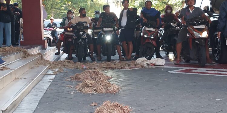 Seniman Lempar Taik Ayam ke DPRD Surabaya, Protes Polemik Pengosongan Ruang DKS