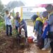 Tanam 72 Pohon demi Masa Depan Anak, IDAI Jatim Bawa Isu Kesehatan dan Lingkungan ke Lereng Wonosalam