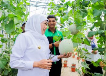 Dorong hilirisasi produk SIKAP naik kelas, Gubernur Khofifah hadiahkan Vacum Frying untuk SMKN 1 Tulungagung
