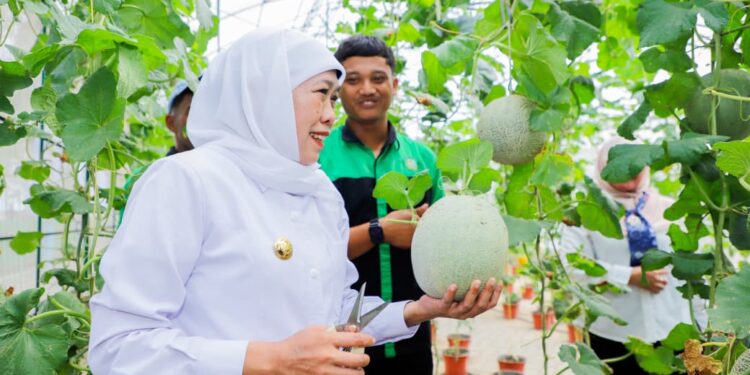 Dorong hilirisasi produk SIKAP naik kelas, Gubernur Khofifah hadiahkan Vacum Frying untuk SMKN 1 Tulungagung