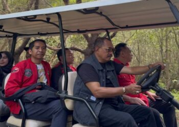 Susuri Hutan Mangrove Bersama Kader PDIP Surabaya, Cak Ji Pastikan Tidak Ada Pembalakan Liar