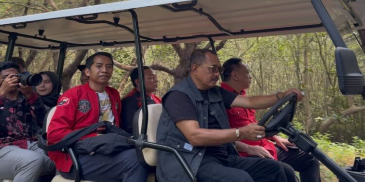 Susuri Hutan Mangrove Bersama Kader PDIP Surabaya, Cak Ji Pastikan Tidak Ada Pembalakan Liar
