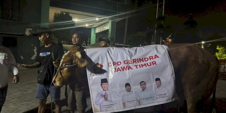 Idul Adha 1447 H, Partai Gerindra Jatim salurkan hewan kurban 226 sapi dan 345 kambing