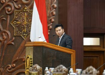 Wagub Emil Dardak soroti enam kendala pemenuhan hak disabilitas di Jatim