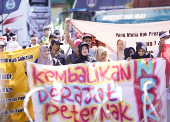 Harga telur anjlok, ratusan peternak rakyat Jatim datangi DPRD Jatim