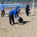 AHY luncurkan Gerakan Nasional Langit Biru, ajak masyarakat jaga kebersihan pantai