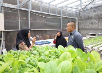 Cak Yebe Dorong Urban Farming Jadi Kekuatan Ketahanan Pangan Kampung di Surabaya