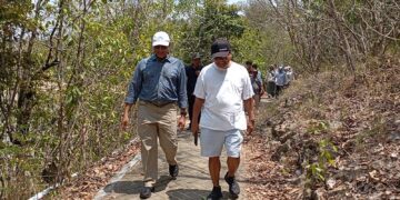 Mangrove Malang Selatan Berpotensi Jadi Sumber Ekonomi Baru, CMC Bidik Perdagangan Karbon