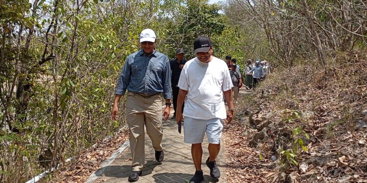 Mangrove Malang Selatan Berpotensi Jadi Sumber Ekonomi Baru, CMC Bidik Perdagangan Karbon